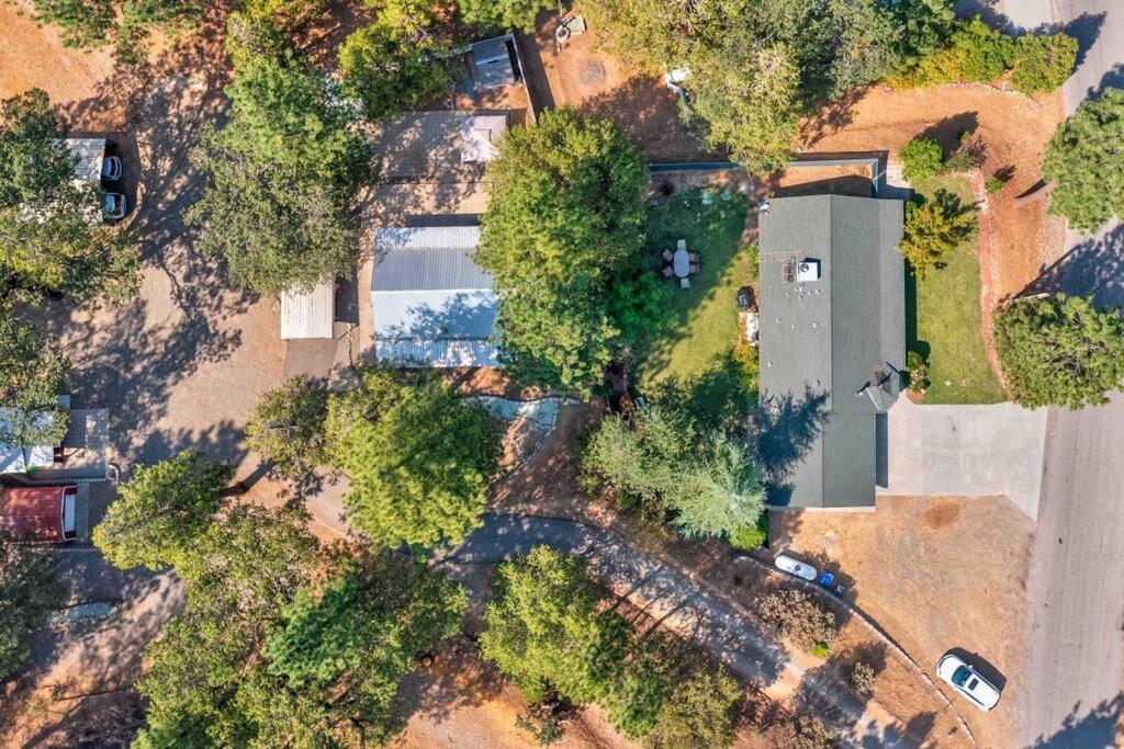 Acorn Cottage - Hidden Gem In Green Heaven, Getaway To Bass Lake & Yosemite Oakhurst Exterior foto